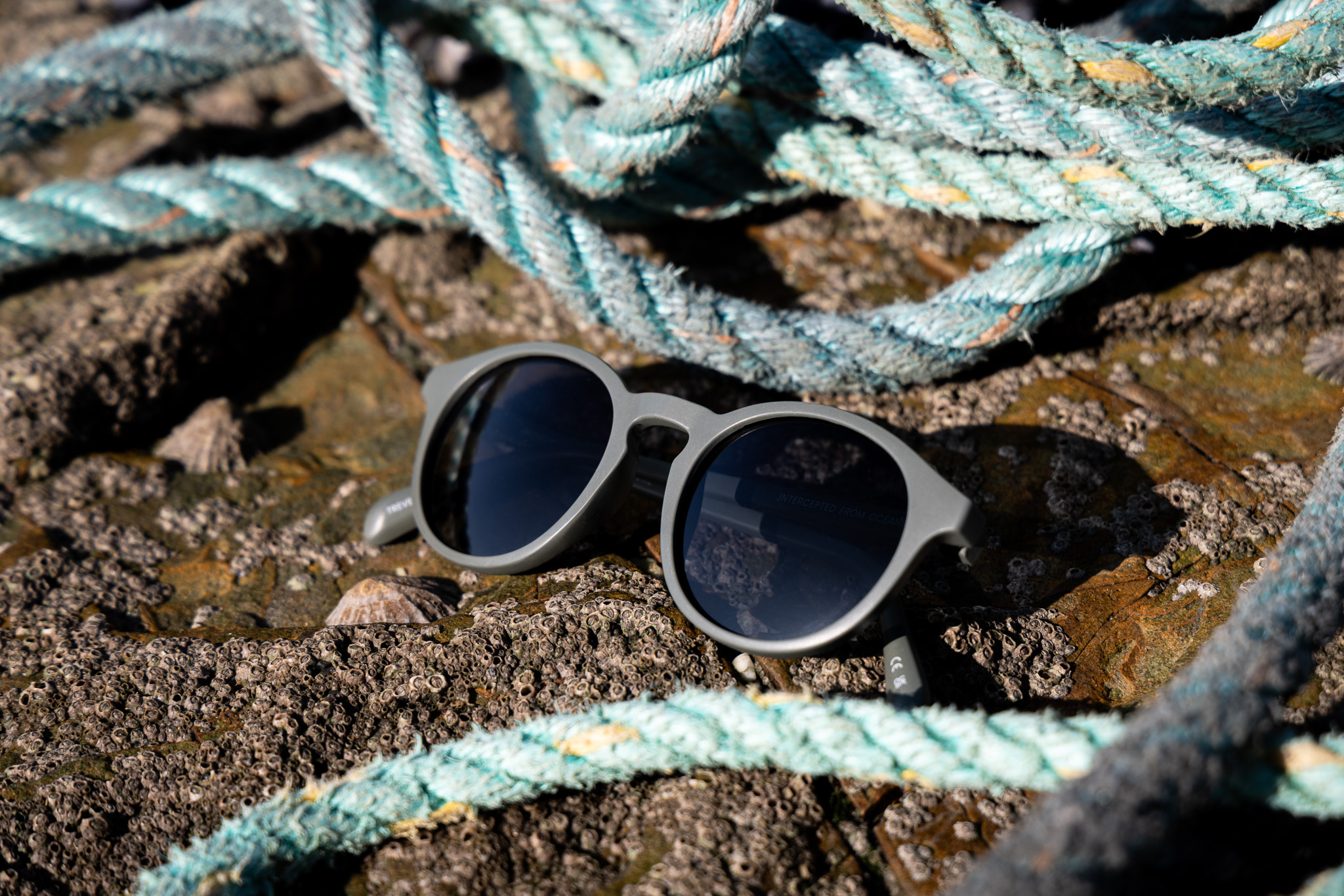 Trevellas Coastline Sunglasses by Waterhaul - Image 2